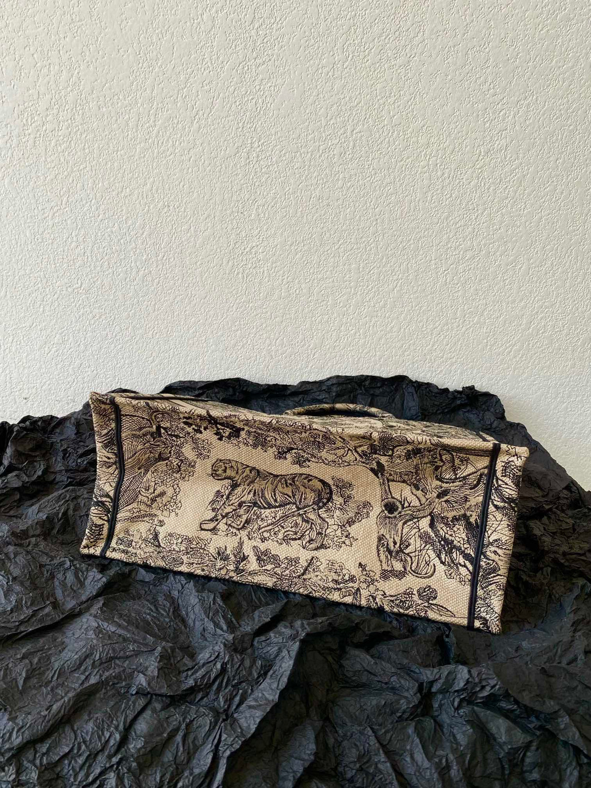 Christian Dior Book Tote Bag