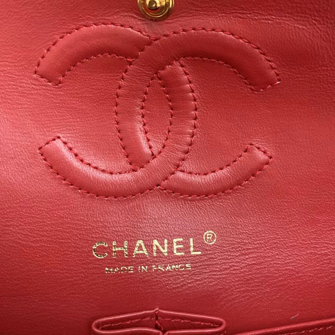 Chanel Double flap Bag