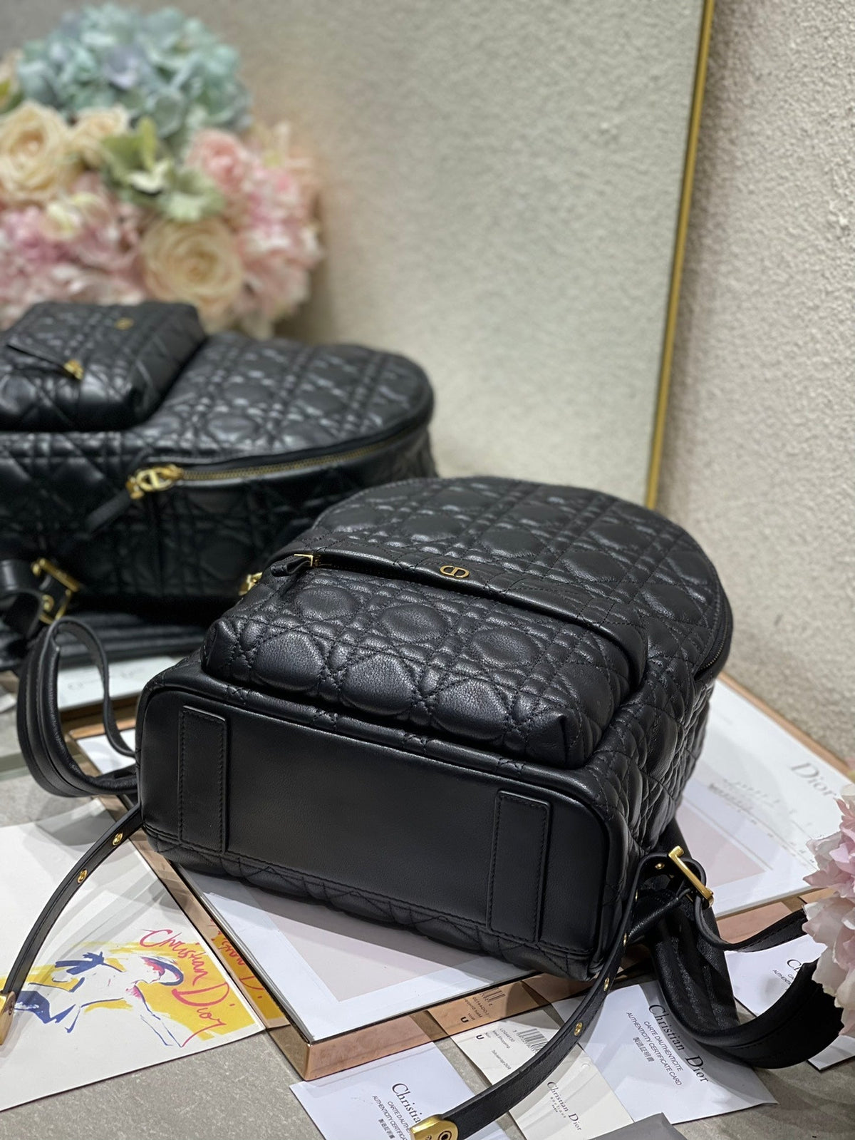 Christian Dior   Backpack