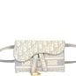 Dior Saddle Belt Pouch Rovelle Bags
