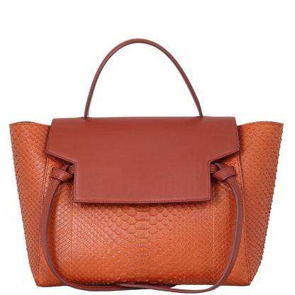 Celine Mini Belt Bag Python