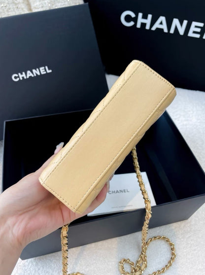 Chanel Luxury Leather Handbag Style 10 Rovelle Bags