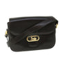 Luxury CELINE Horse Carriage Shoulder Bag Leather Brown rd5687
