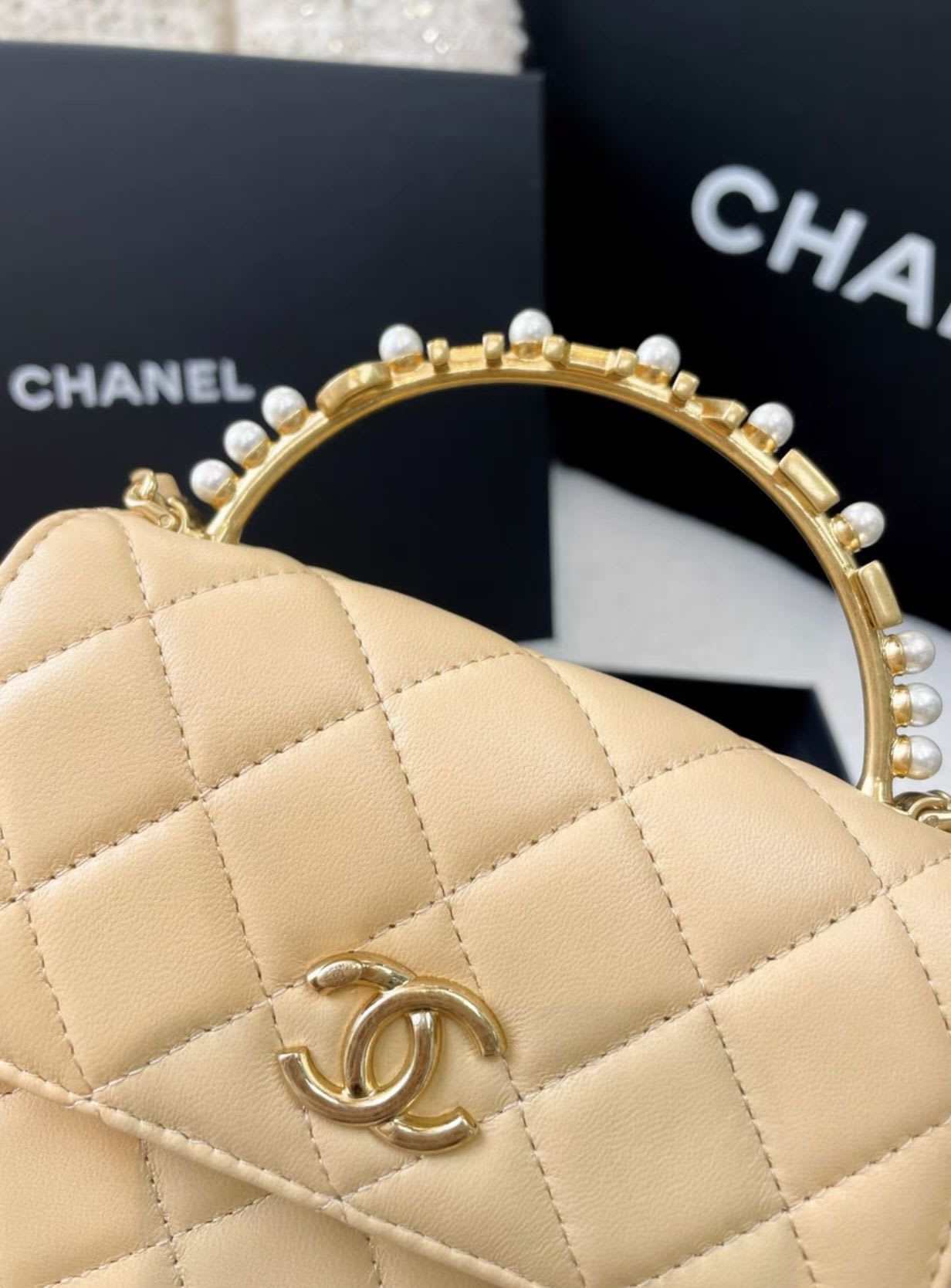Chanel Luxury Leather Handbag Style 10 Rovelle Bags