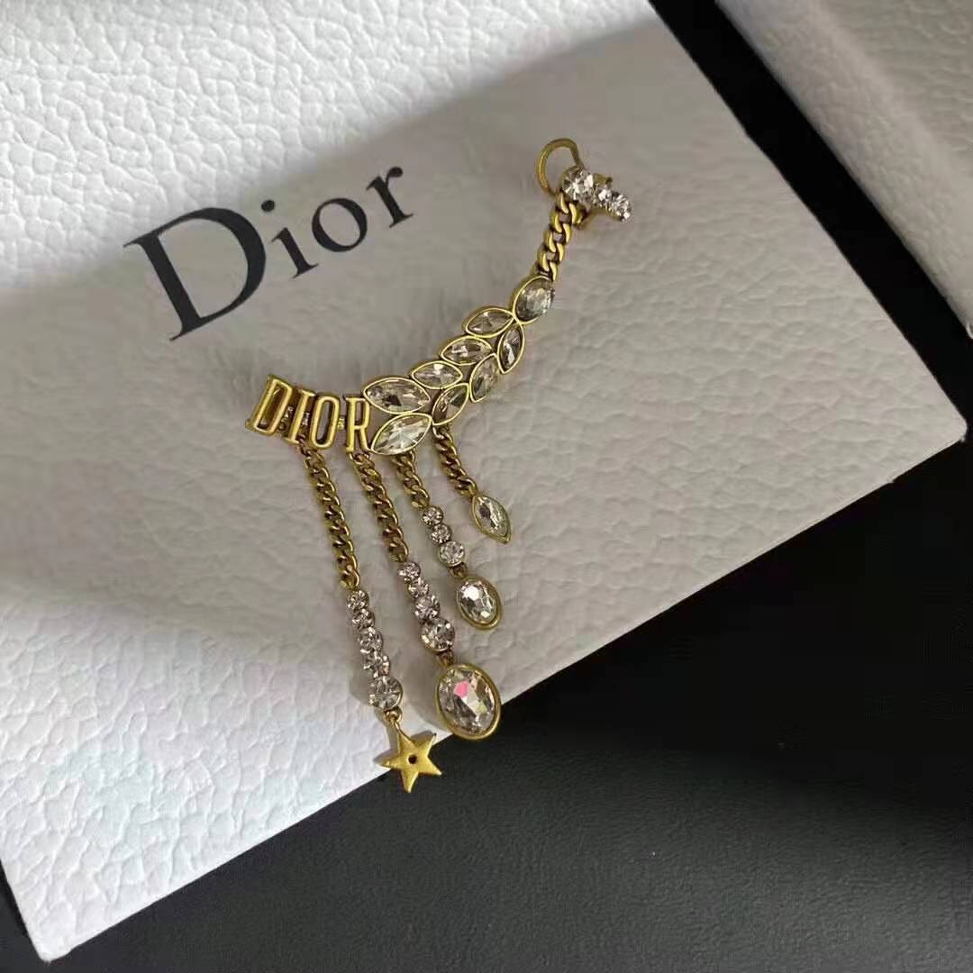 Fashion tassel earrings lbcase
