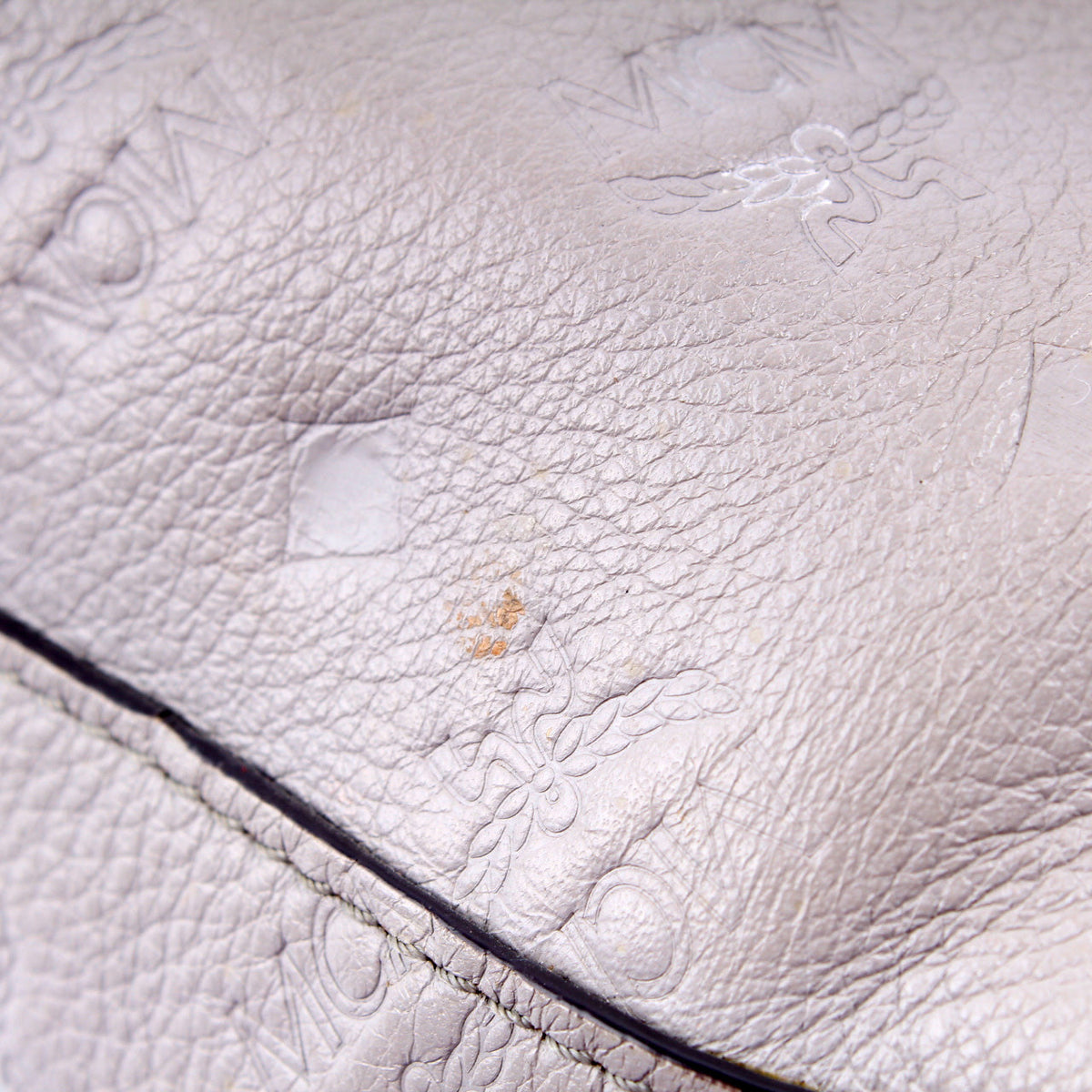 Leather Clara Hobo Large