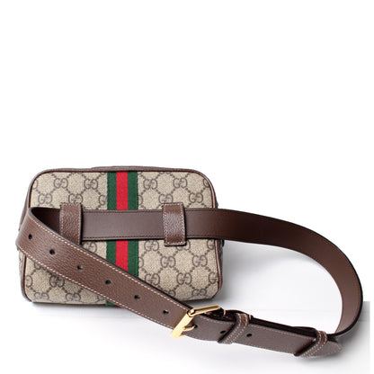 517076 Mini Ophidia Belt Bag lbcase
