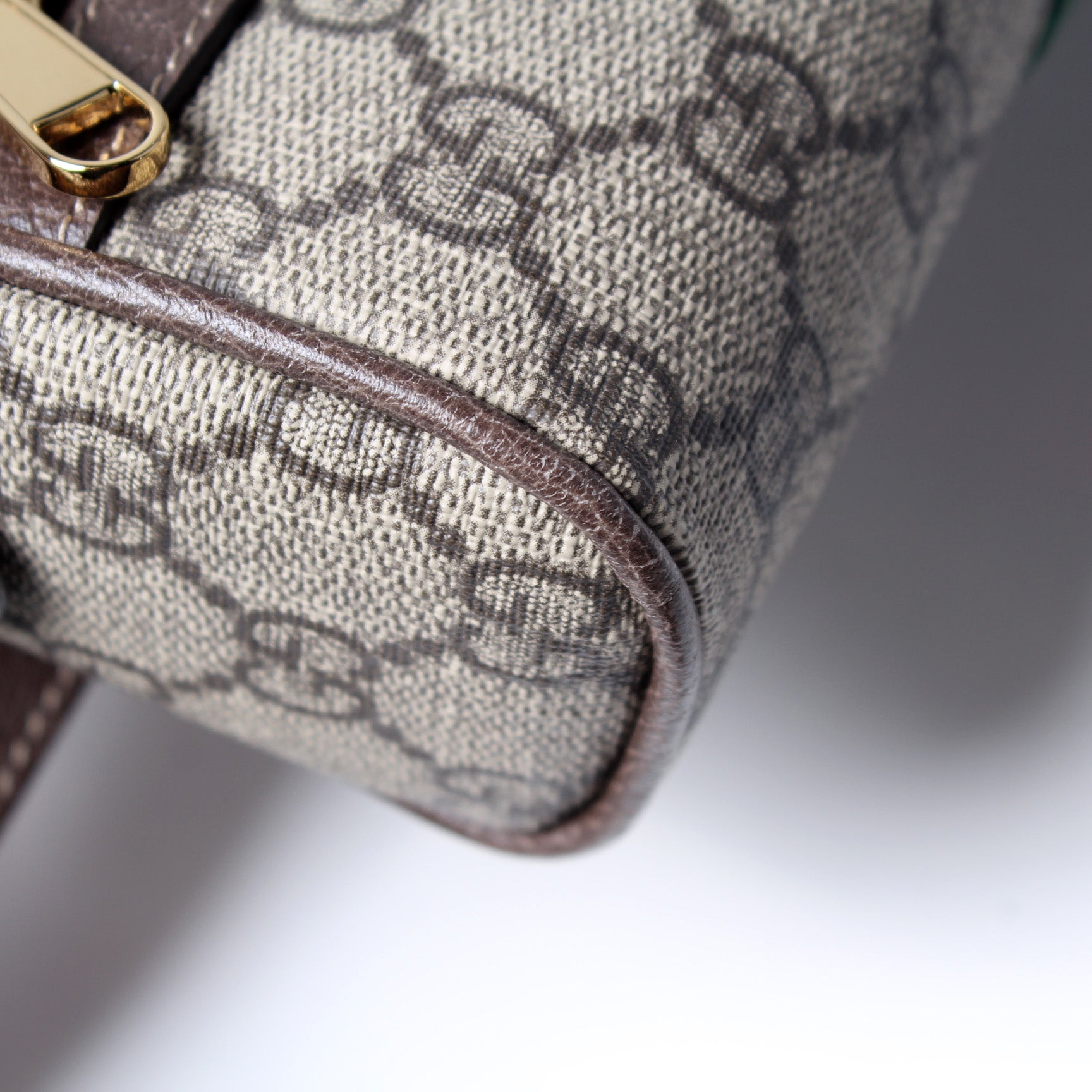 517076 Mini Ophidia Belt Bag lbcase