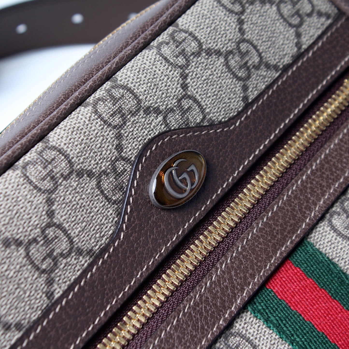 517076 Mini Ophidia Belt Bag lbcase