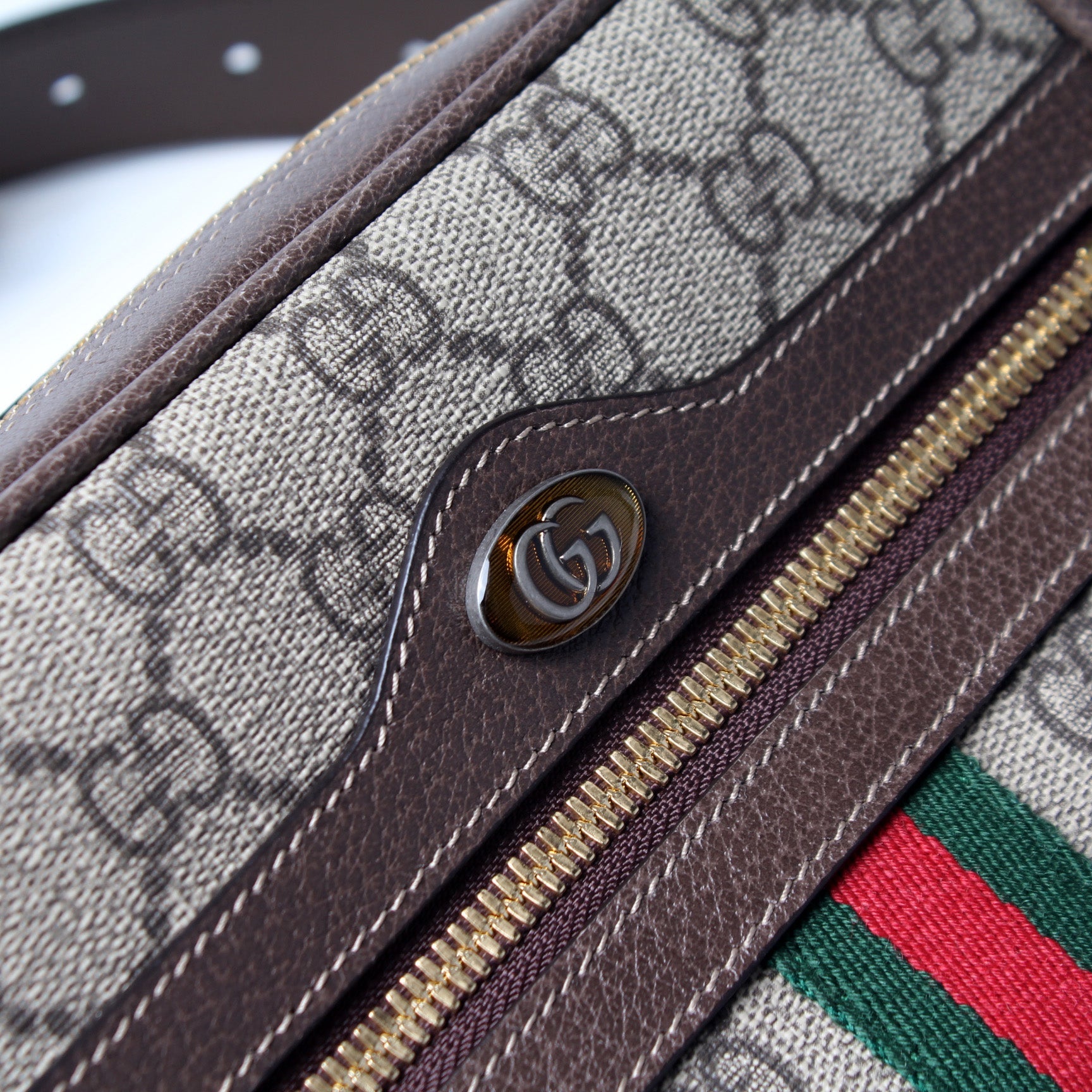 517076 Mini Ophidia Belt Bag lbcase