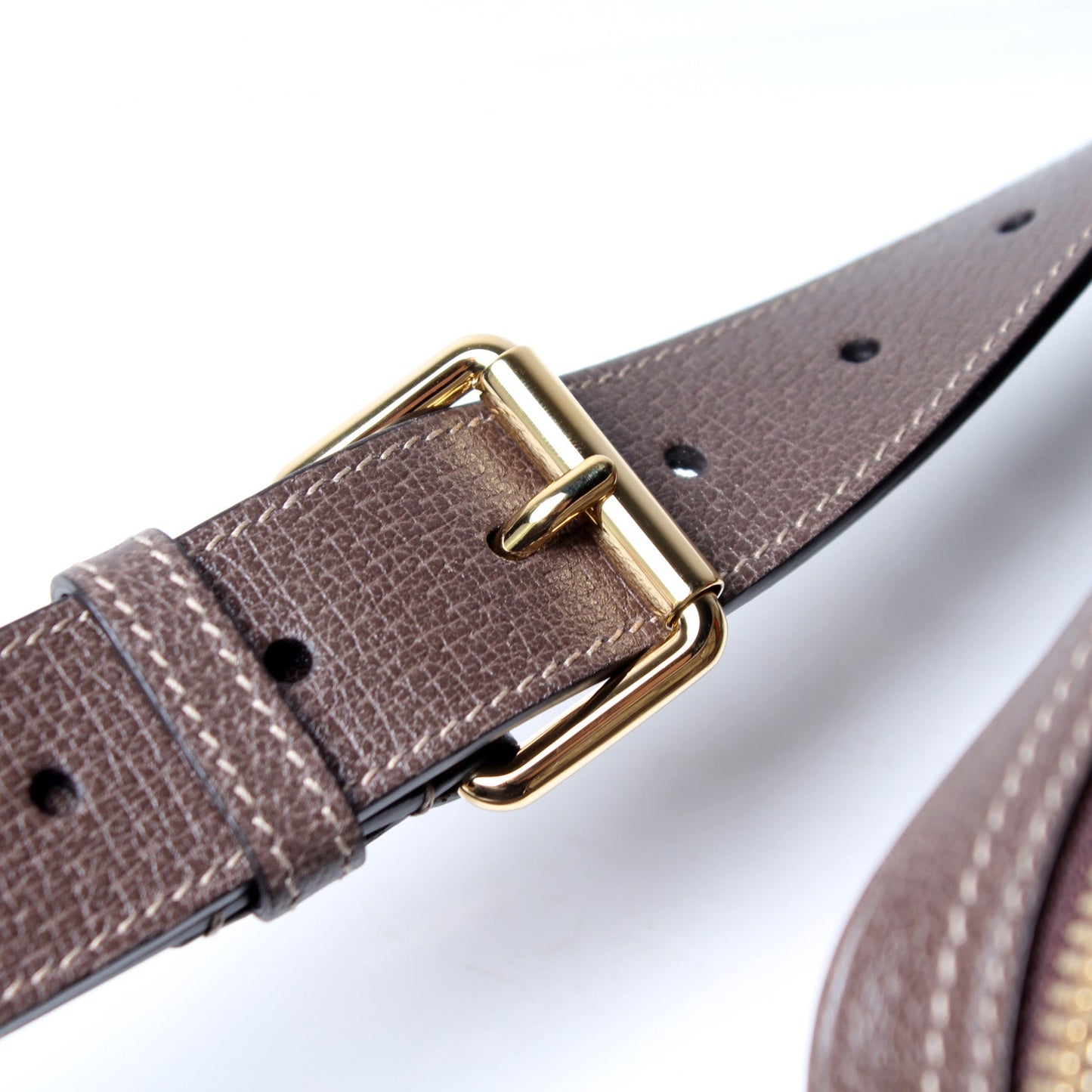 517076 Mini Ophidia Belt Bag lbcase