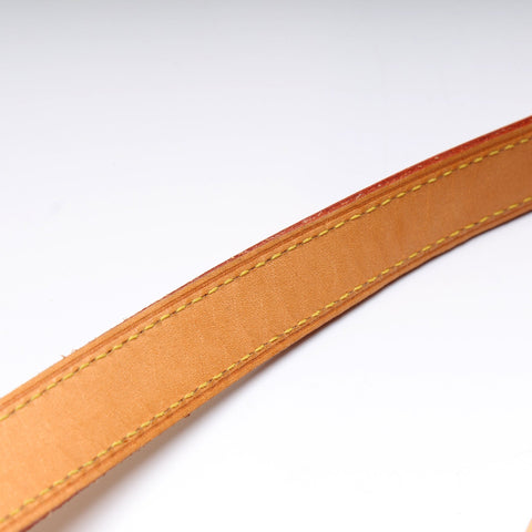 Speedy 30 Bandouliere Monogram