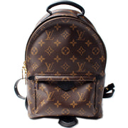 Palm Springs Backpack PM NM