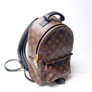 Palm Springs Backpack PM NM
