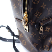 Palm Springs Backpack PM NM