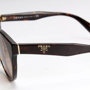 Round Sunglasses