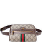 517076 Mini Ophidia Belt Bag lbcase