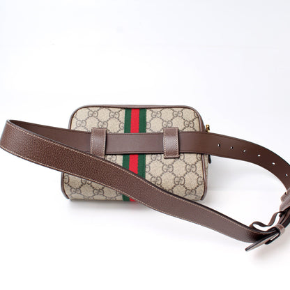 517076 Mini Ophidia Belt Bag lbcase
