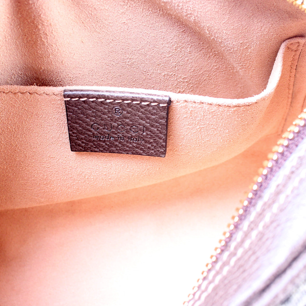 517076 Mini Ophidia Belt Bag lbcase