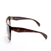 2AU-4MO Tortoise Sunglasses