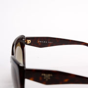 2AU-4MO Tortoise Sunglasses