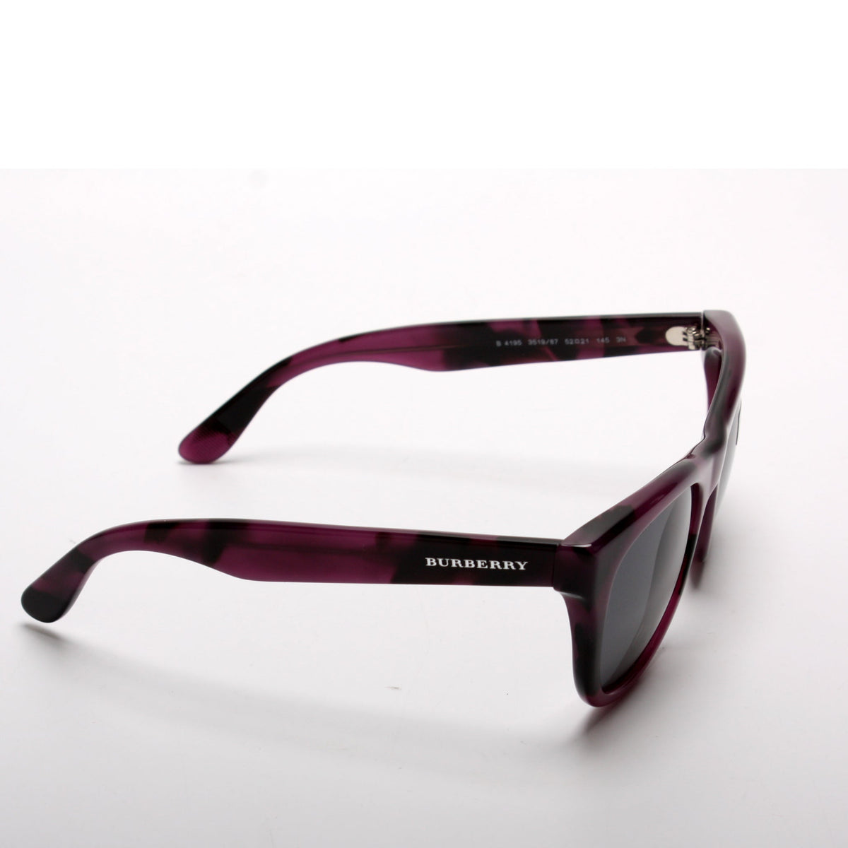 B4195 Wayfarer Sunglasses