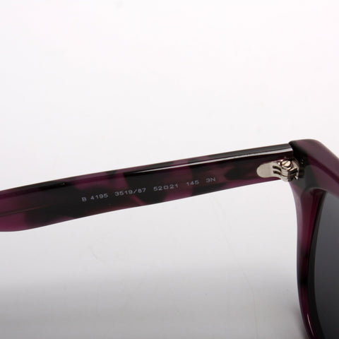 B4195 Wayfarer Sunglasses