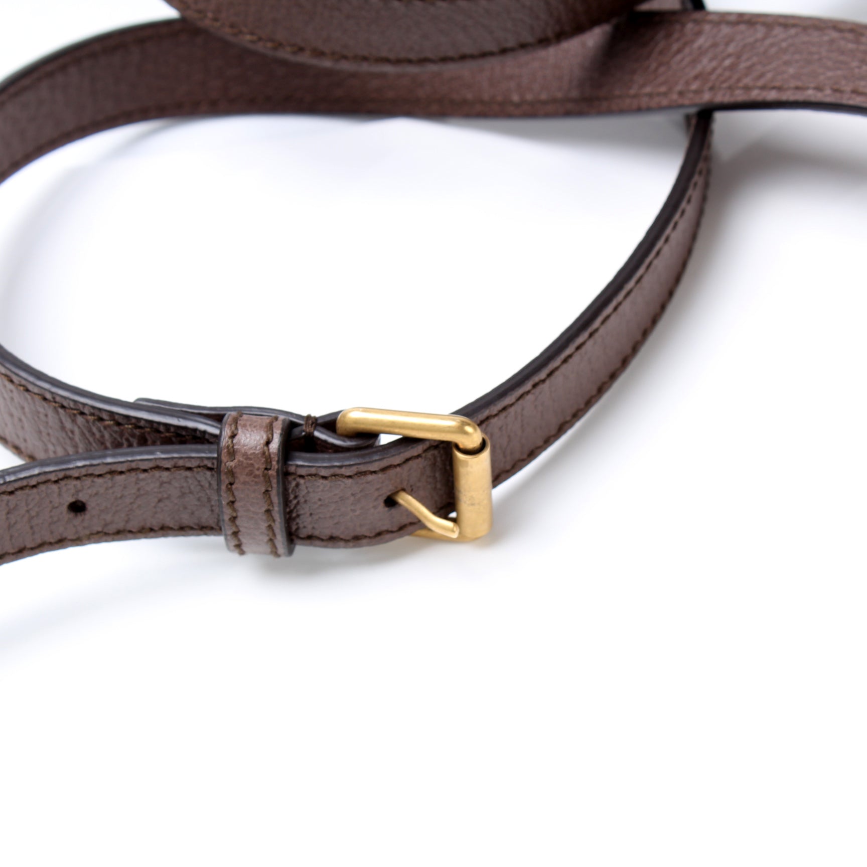 547926 Ophidia Messenger lbcase