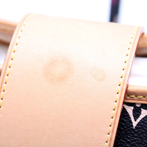 Annie GM Multicolor Monogram
