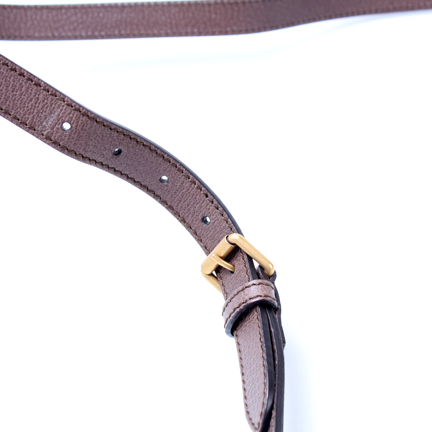 547926 Ophidia Messenger GG Supreme lbcase