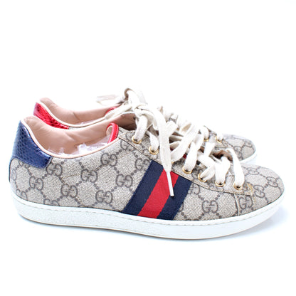 Ace Web GG Supreme Sneakers Size 38 lbcase