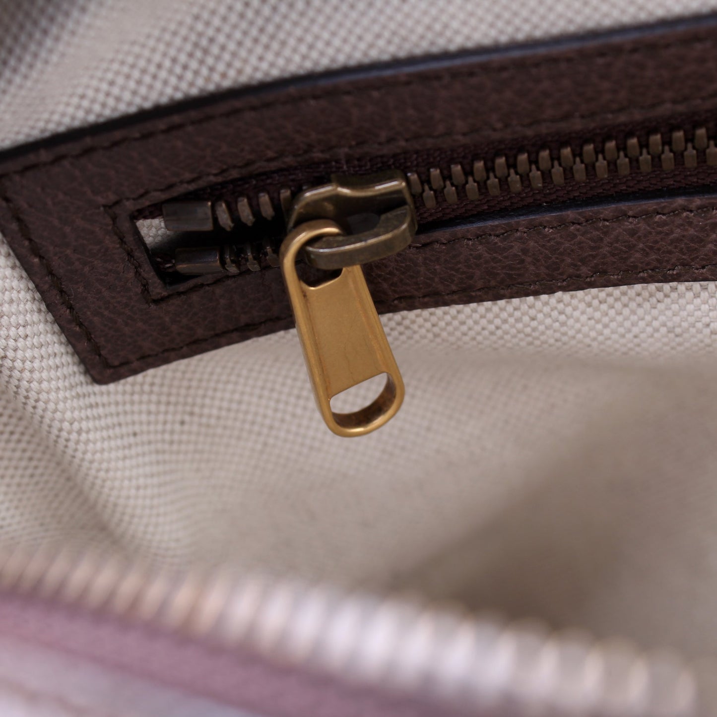 547934 Ophidia Messenger Medium lbcase