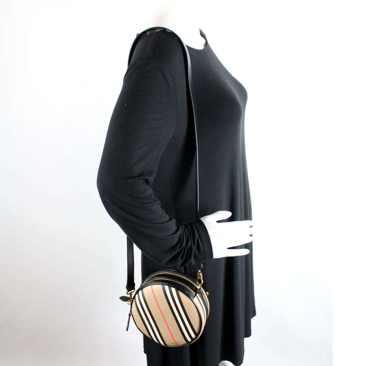 Louise Icon Stripe E-Canvas Crossbody