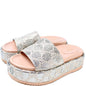 GG Canvas Platform Slides Size 37 lbcase