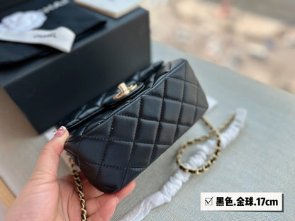 2023 CC handbag -107