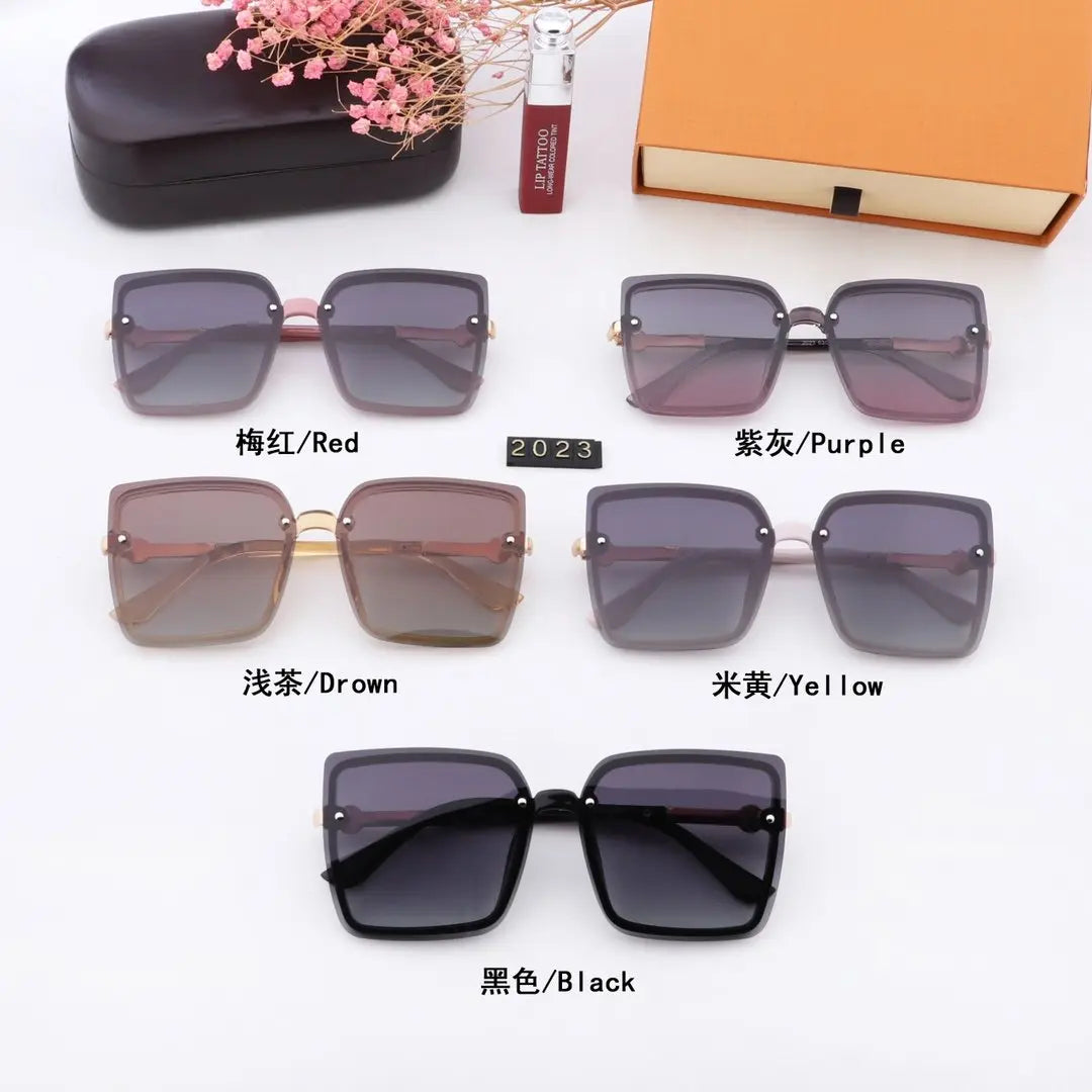5 COLORS FEMALE POLARIZED GLASS BEACH SUNGLASSES lbcase