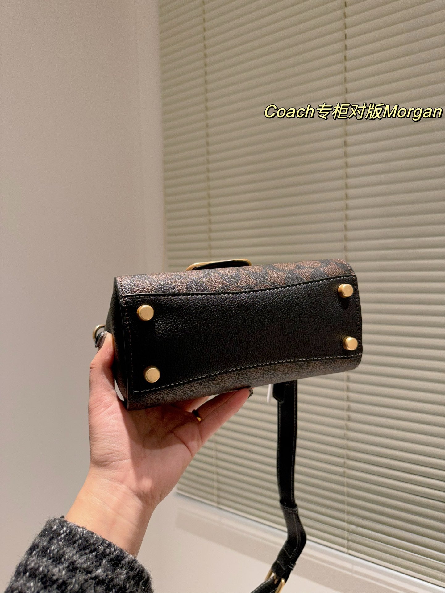 2023 coa handbag -132
