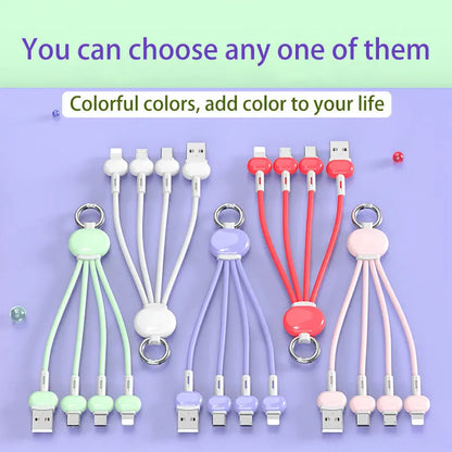 Keychain 3 in 1 USB Type C Cable lbcase