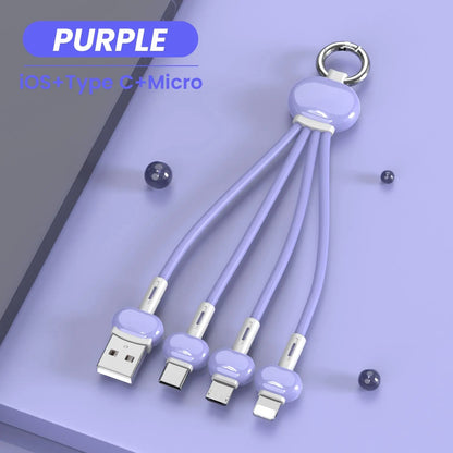 Keychain 3 in 1 USB Type C Cable lbcase