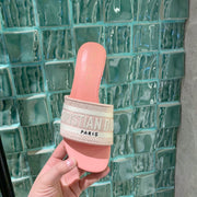 CD Slides - Pink