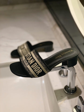 D I O R slides (2 Options)