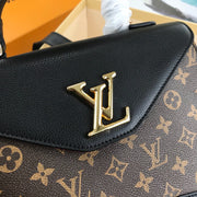 Lv amor