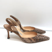 Manolo Blahnik Carolyne Slingback Pumps Brown Snakeskin Size 38.5 Pointed Toe